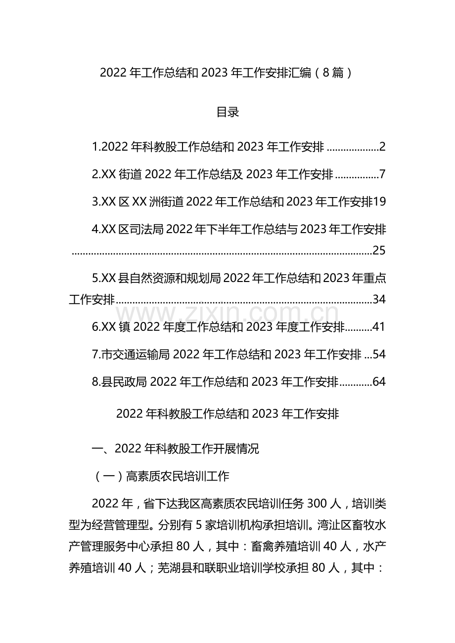 2022年工作总结和2023年工作安排汇编.docx_第1页