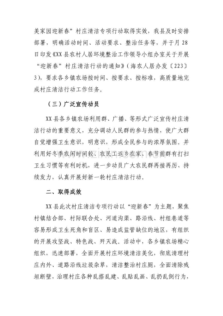 XX县村庄清洁专项行动工作总结.docx_第2页