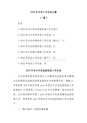 2022年专项工作总结汇编(7篇).docx