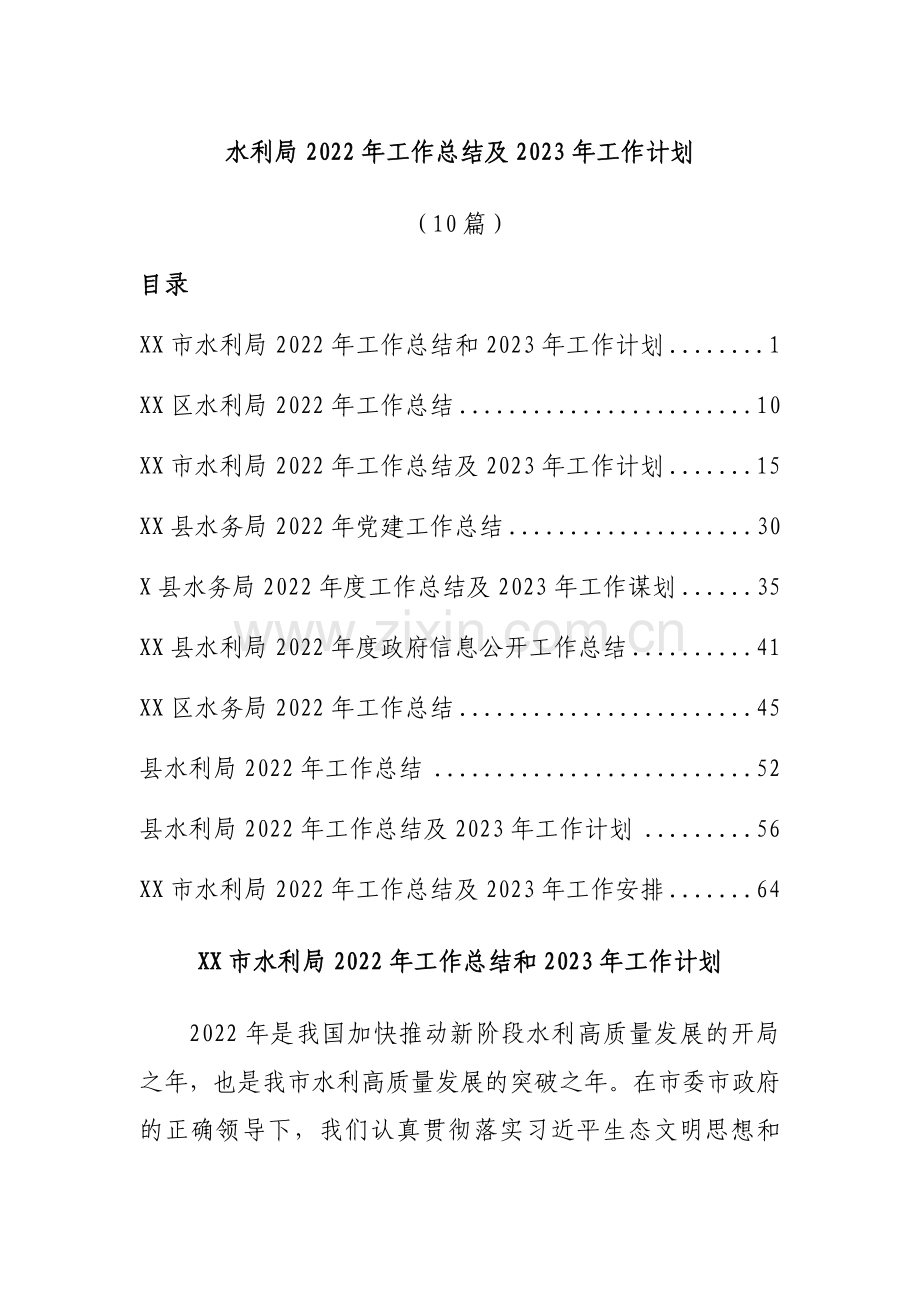 水利局2022年工作总结及2023年工作计划(10篇).docx_第1页