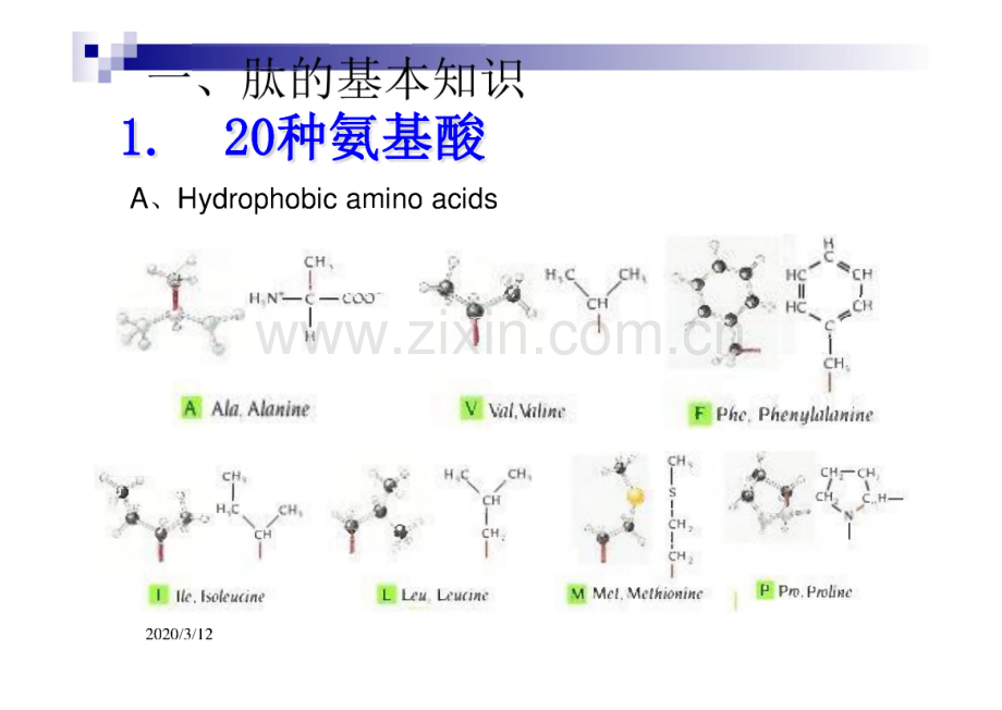 第八章 药物设计原理-肽拟似物医学.pdf_第3页