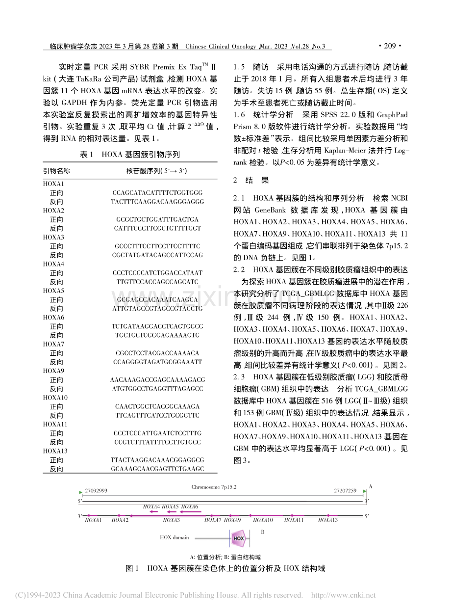 HOXA基因簇在胶质瘤中的表达分析_董成亚.pdf_第3页