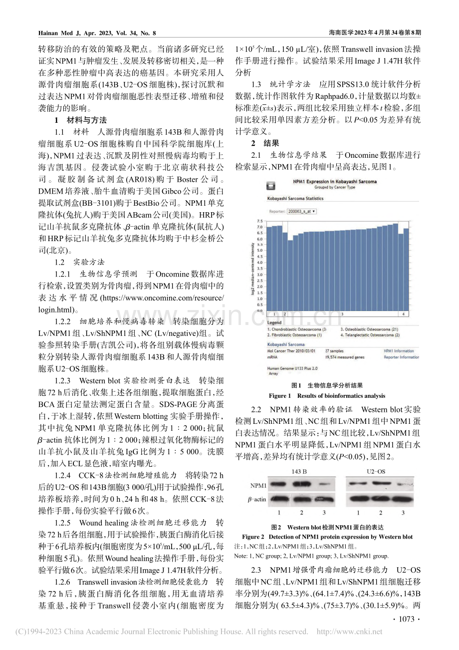 NPM1促进骨肉瘤细胞迁移、增殖、侵袭的体外研究_刘丰平.pdf_第2页