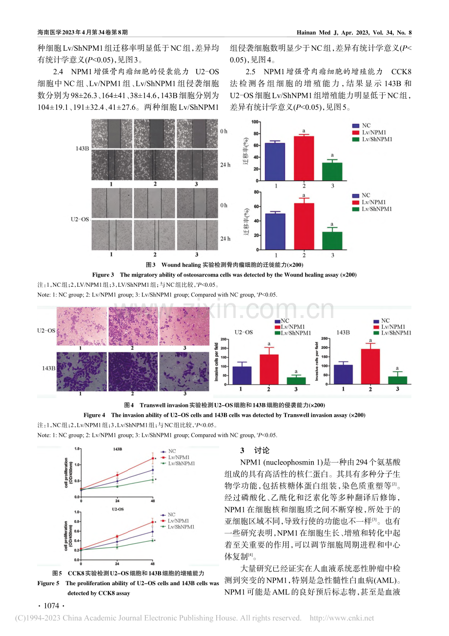 NPM1促进骨肉瘤细胞迁移、增殖、侵袭的体外研究_刘丰平.pdf_第3页