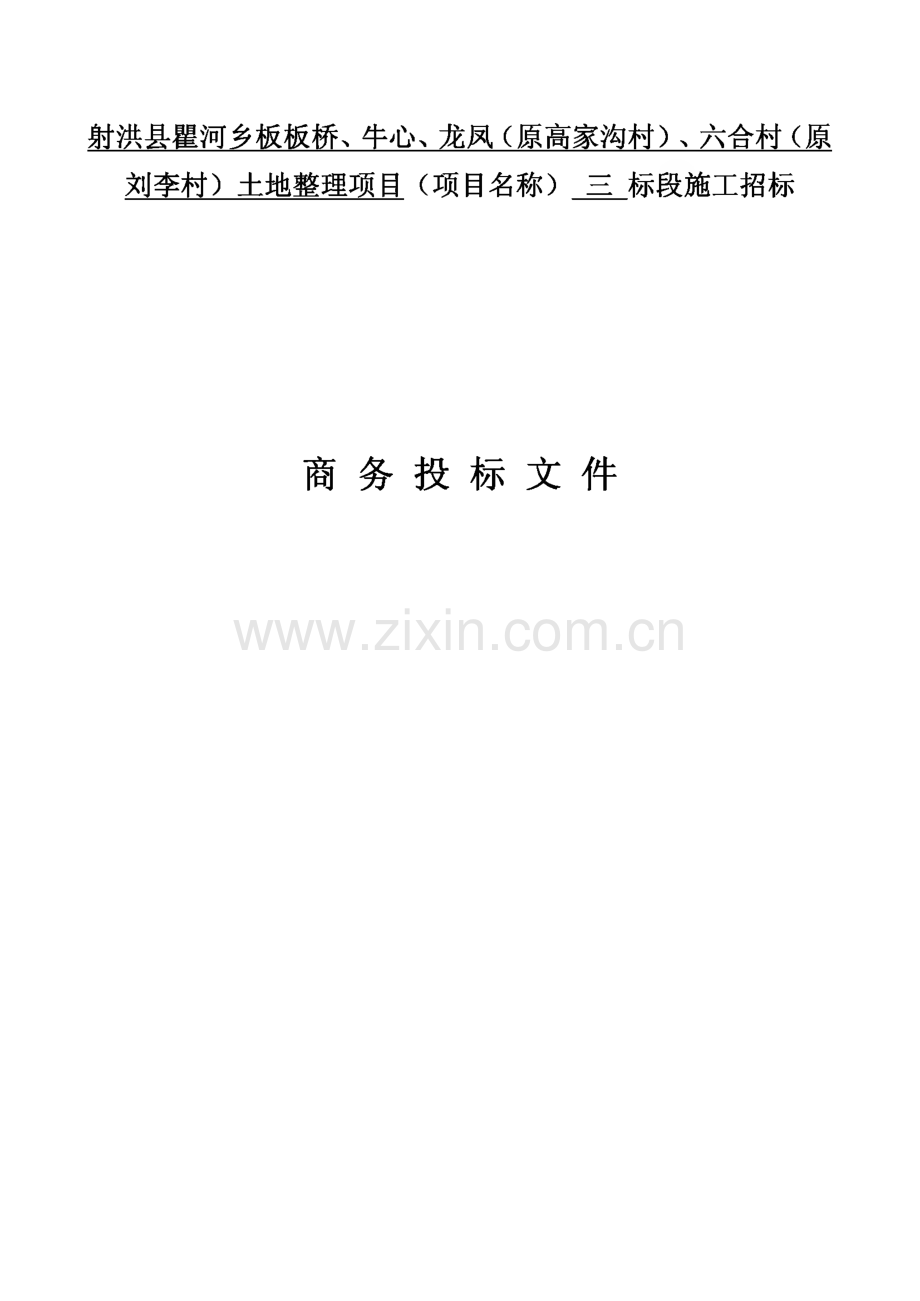 防洪堤施工招标-商务投标文件.pdf_第1页