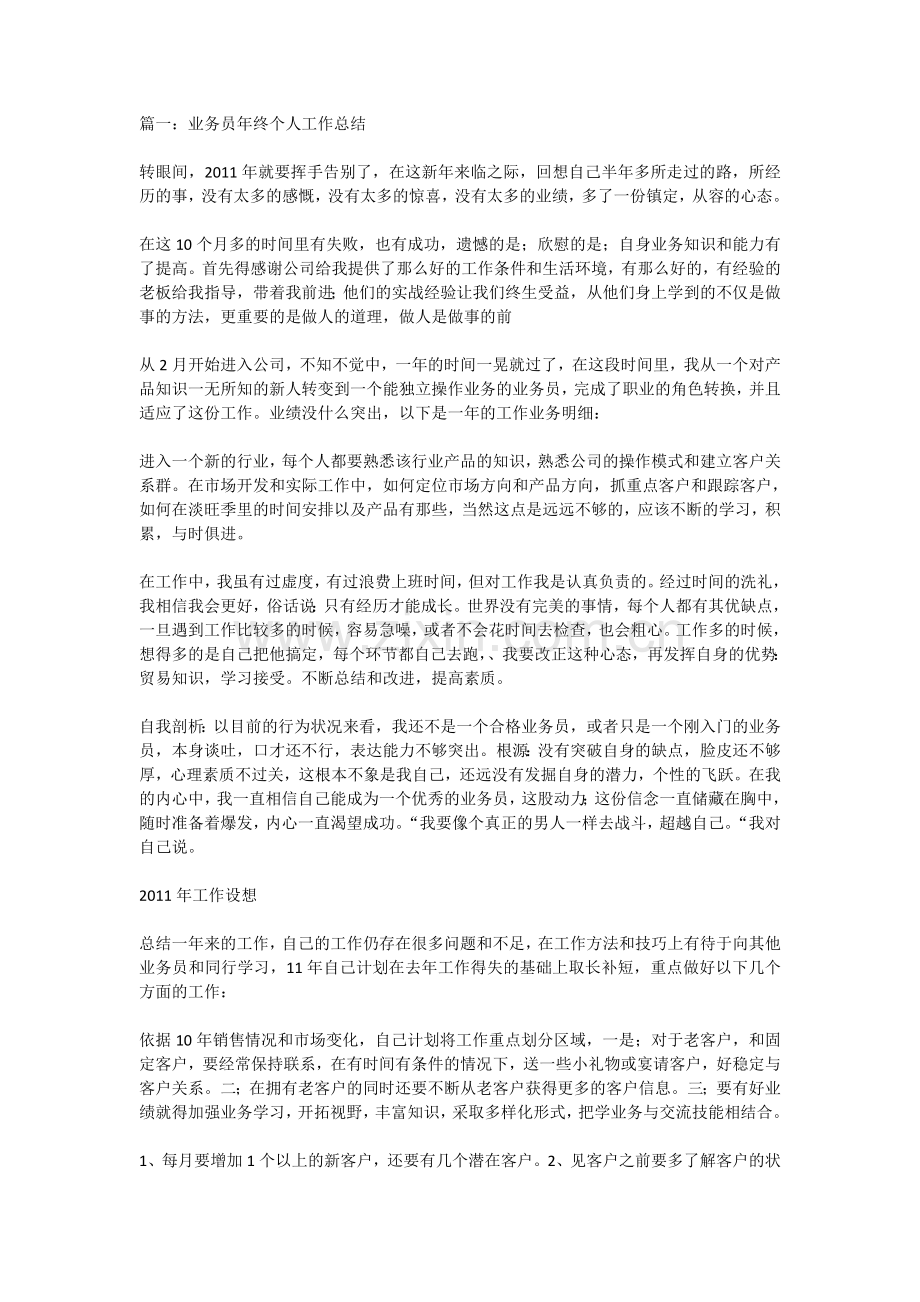 业务员年终个人工作总结.doc_第1页