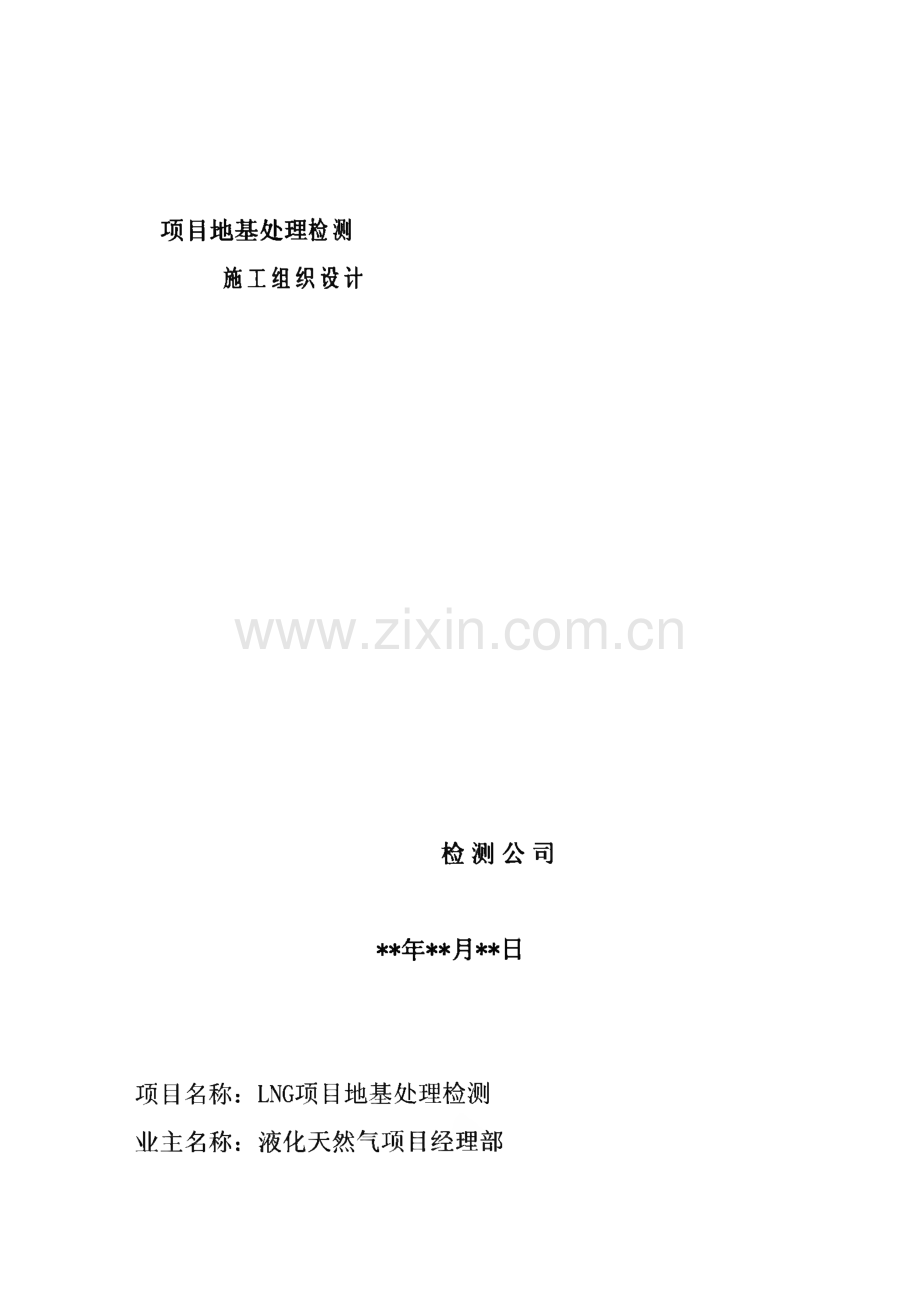 某LNG项目地基处理检测施工组织设计.pdf_第1页