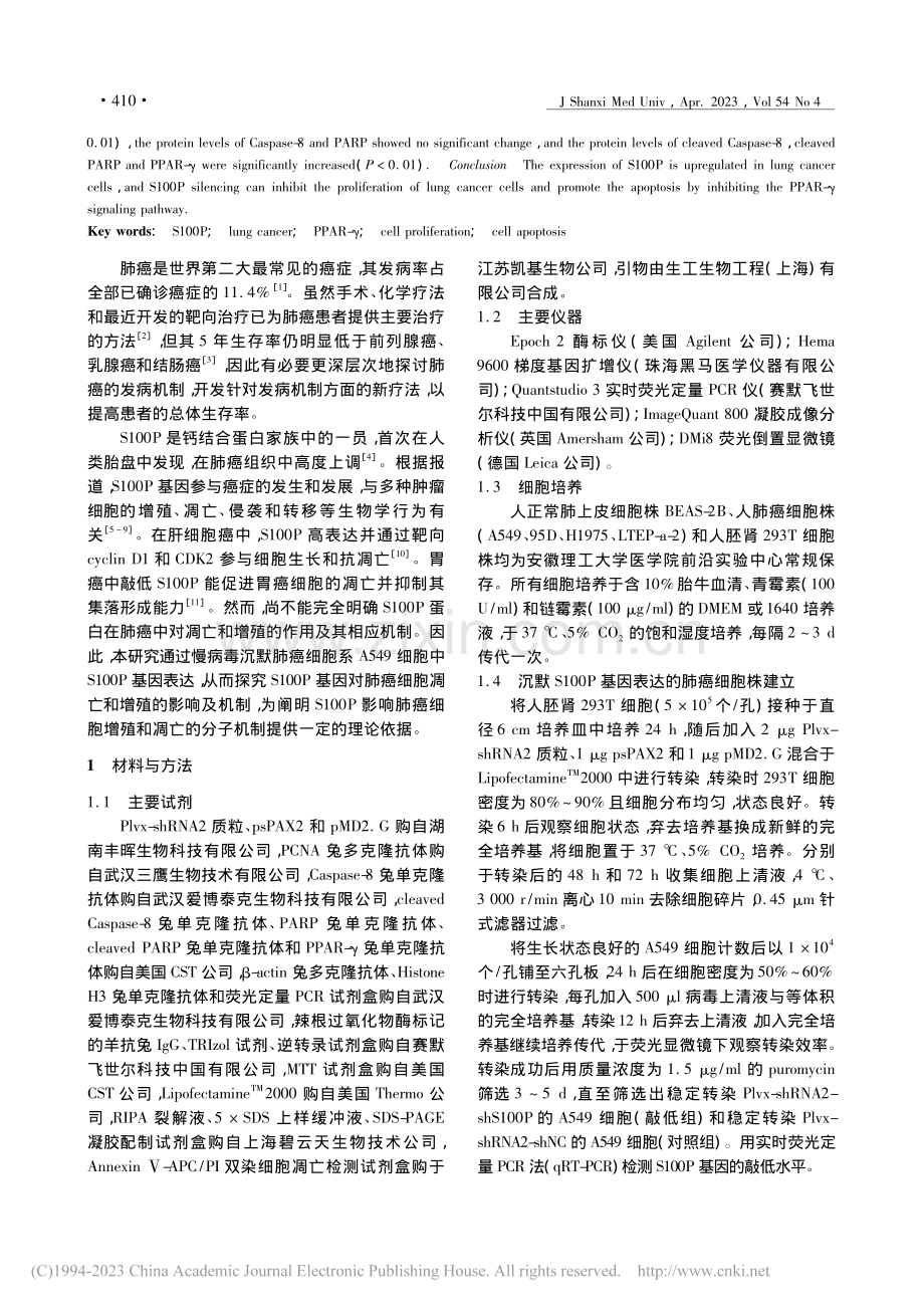 S100P对肺癌细胞增殖和凋亡的影响及其机制_高露.pdf_第2页