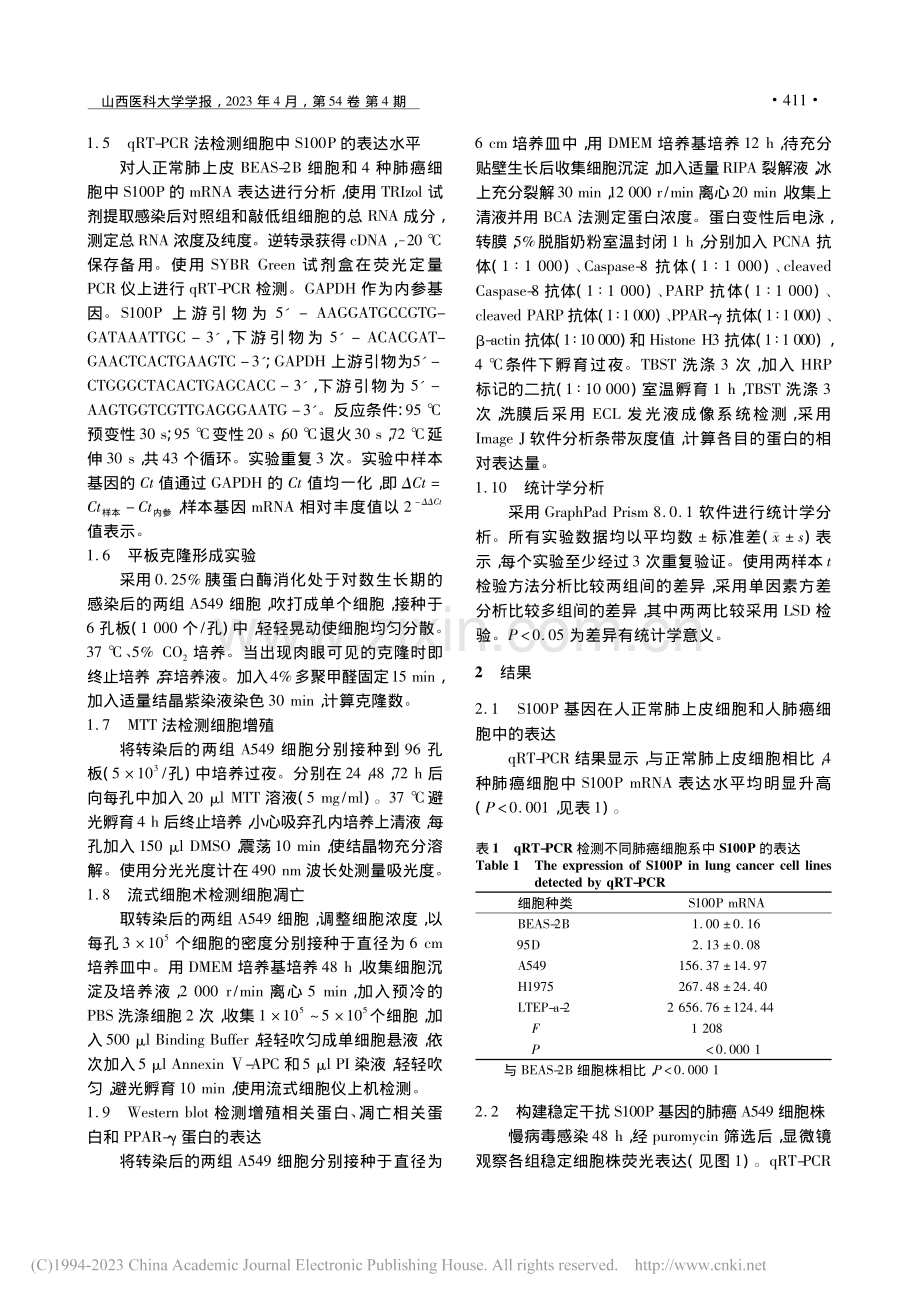 S100P对肺癌细胞增殖和凋亡的影响及其机制_高露.pdf_第3页