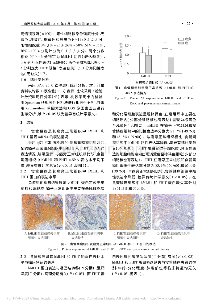 hMLH1及FHIT在食管...组织中的表达及临床病理意义_阿丽米热·库尔班.pdf_第3页