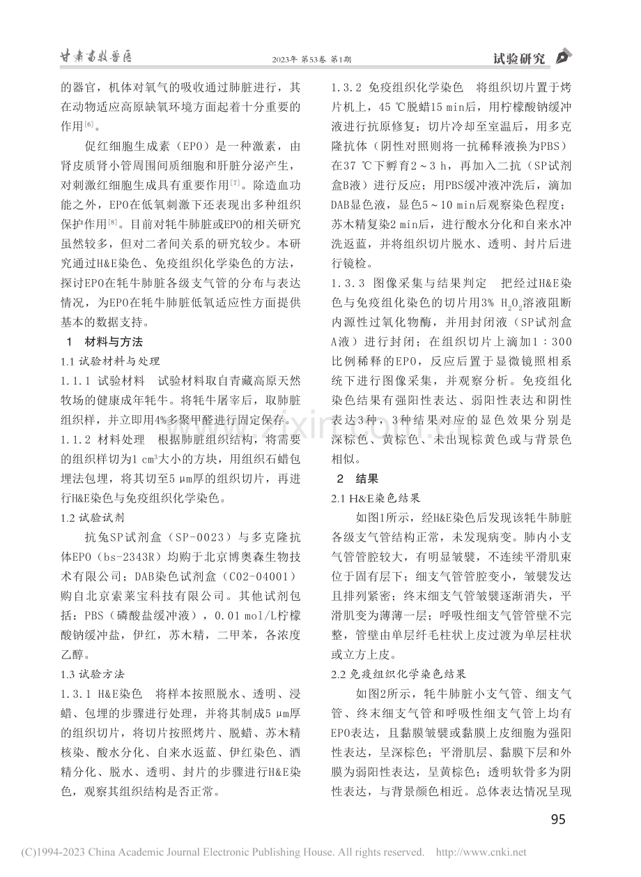 牦牛肺脏各支气管中EPO的表达差异研究_杨映雪.pdf_第2页