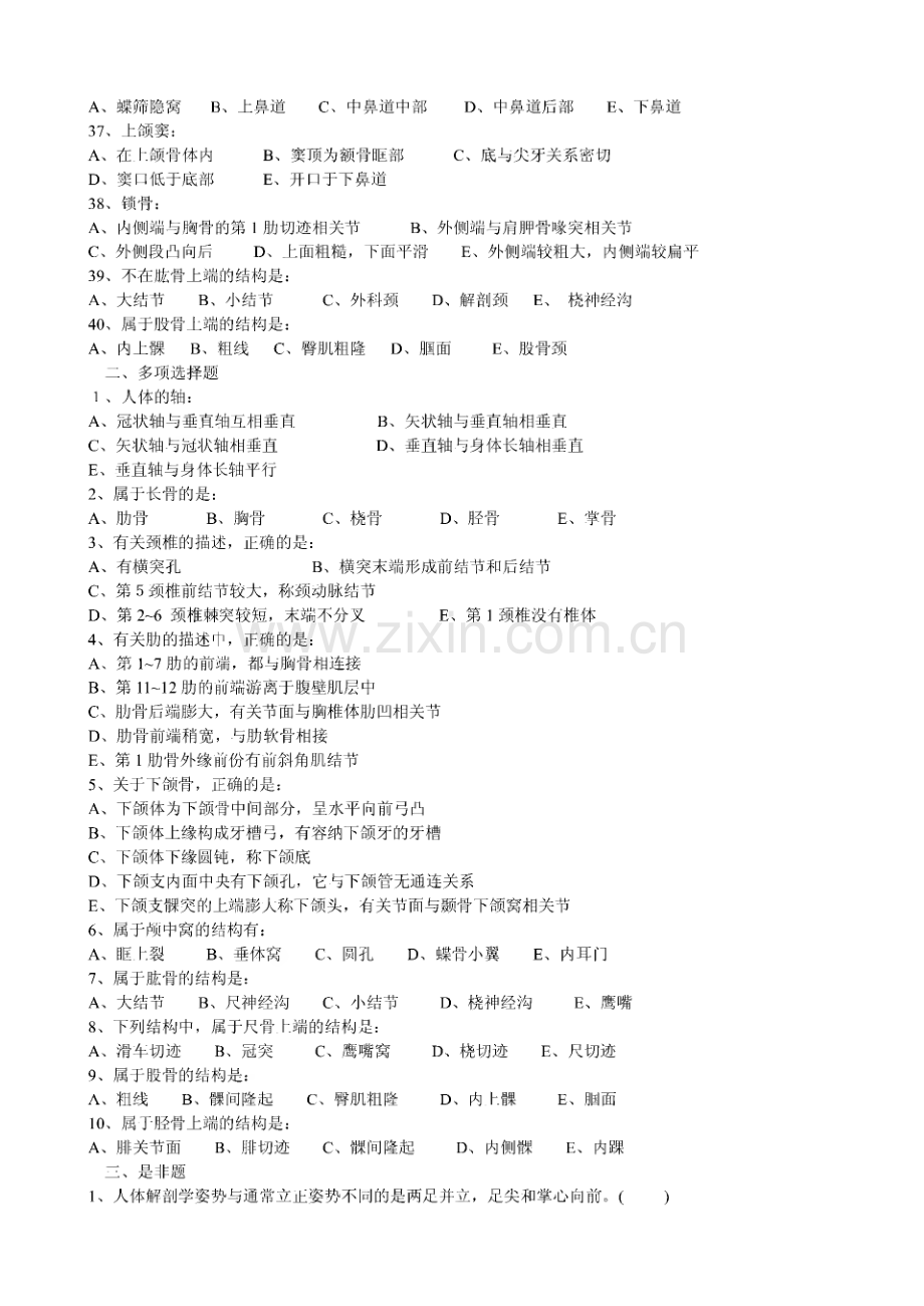 人体解剖学测试题.pdf_第3页