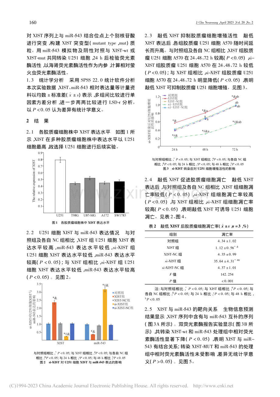 LncRNA_XIST靶向...细胞增殖凋亡的作用机制研究_兰伟途.pdf_第3页