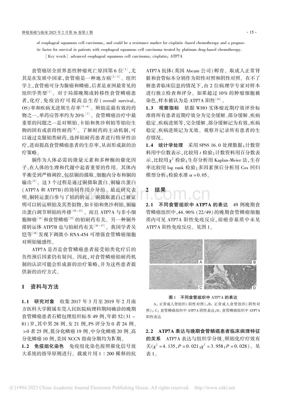 ATP7A蛋白在晚期食管鳞癌组织中的表达及临床意义_李壮华.pdf_第2页