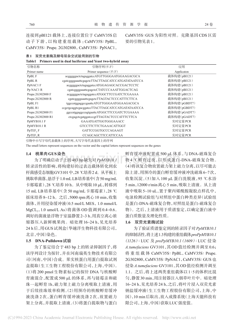 PpMYB10.1启动子4...肉桃果肉颜色形成关系的研究_王蛟.pdf_第3页