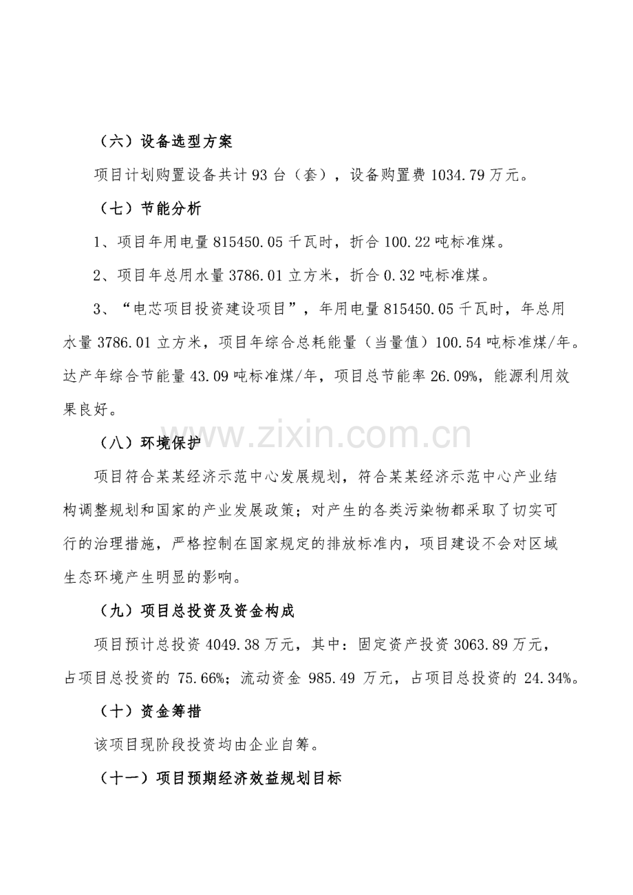 电芯项目产业规划投资计划书.pdf_第2页