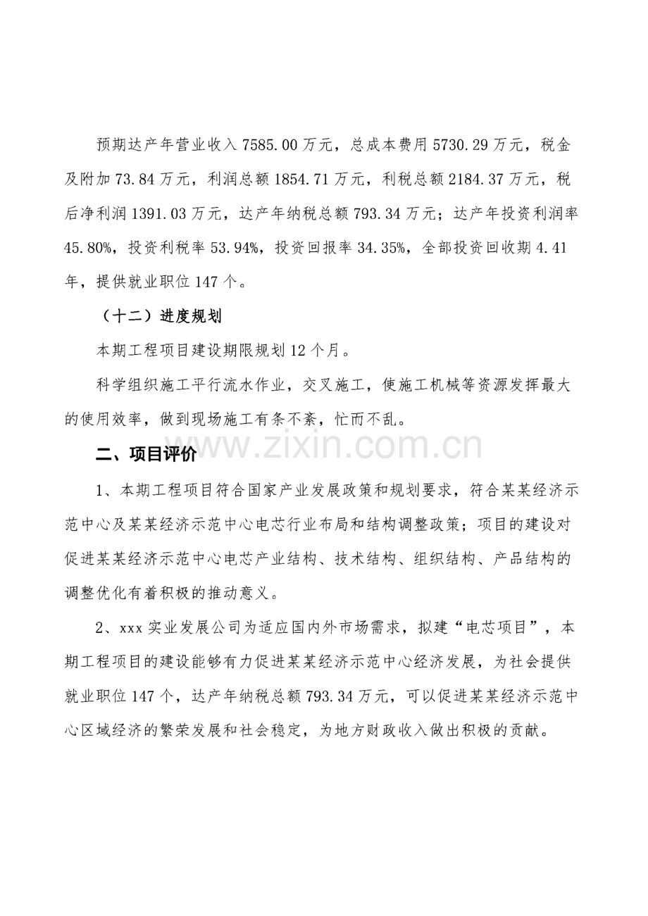 电芯项目产业规划投资计划书.pdf_第3页