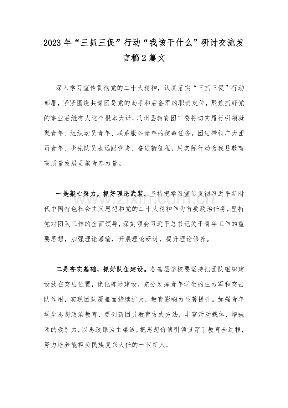 2023年“三抓三促”行动“我该干什么”研讨交流发言稿2篇文.docx_第1页