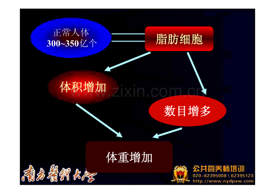 培训课件—健康管理师-肥胖症.pdf_第3页