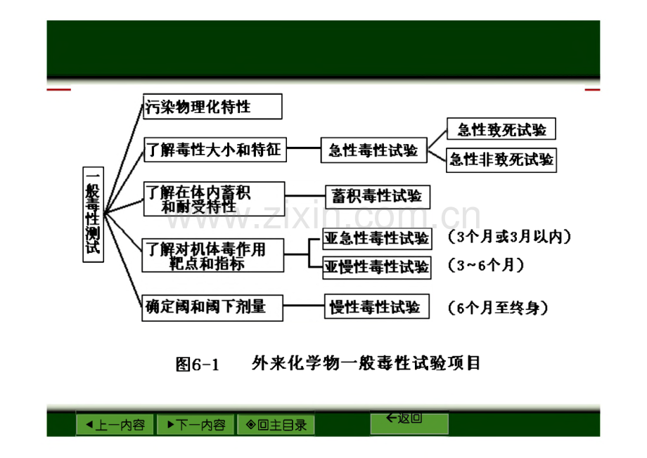 第六章_一般毒性作用及其试验与评价方法_课件.pdf_第2页