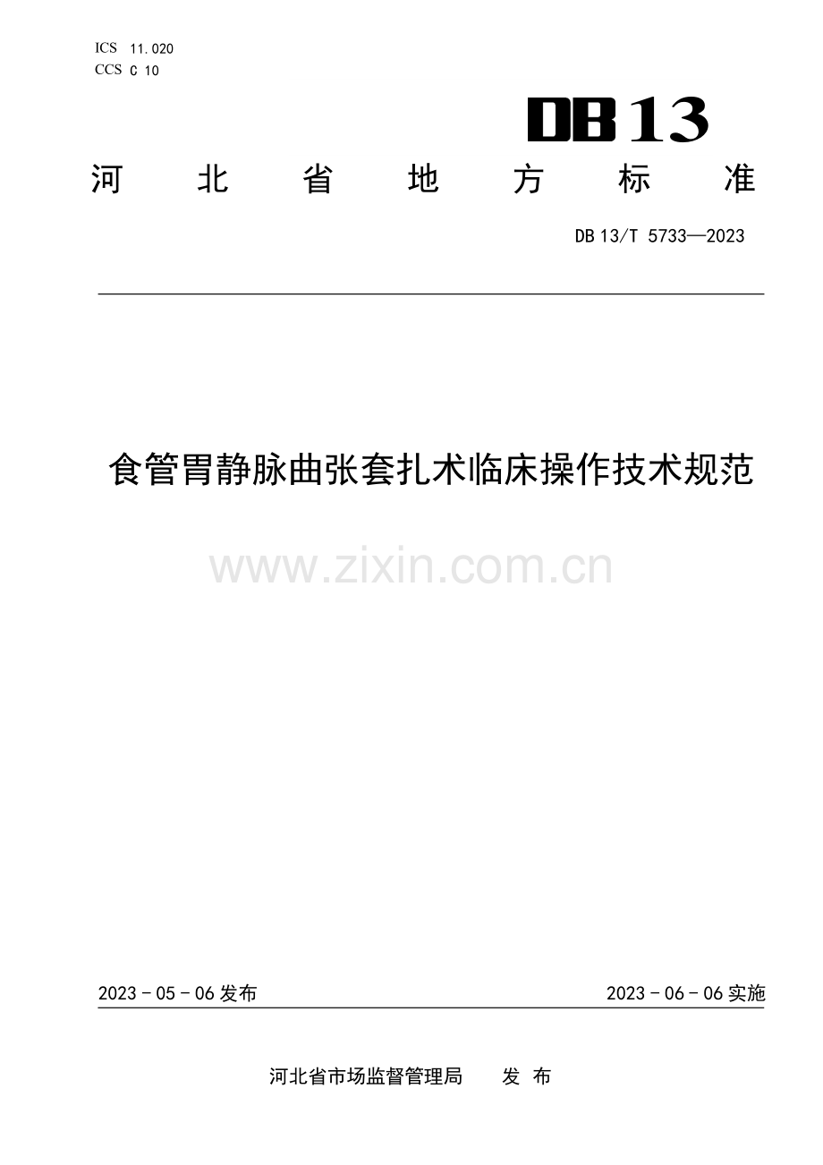 DB13∕T 5733-2023 食管胃静脉曲张套扎术临床操作技术规范(河北省).pdf_第1页