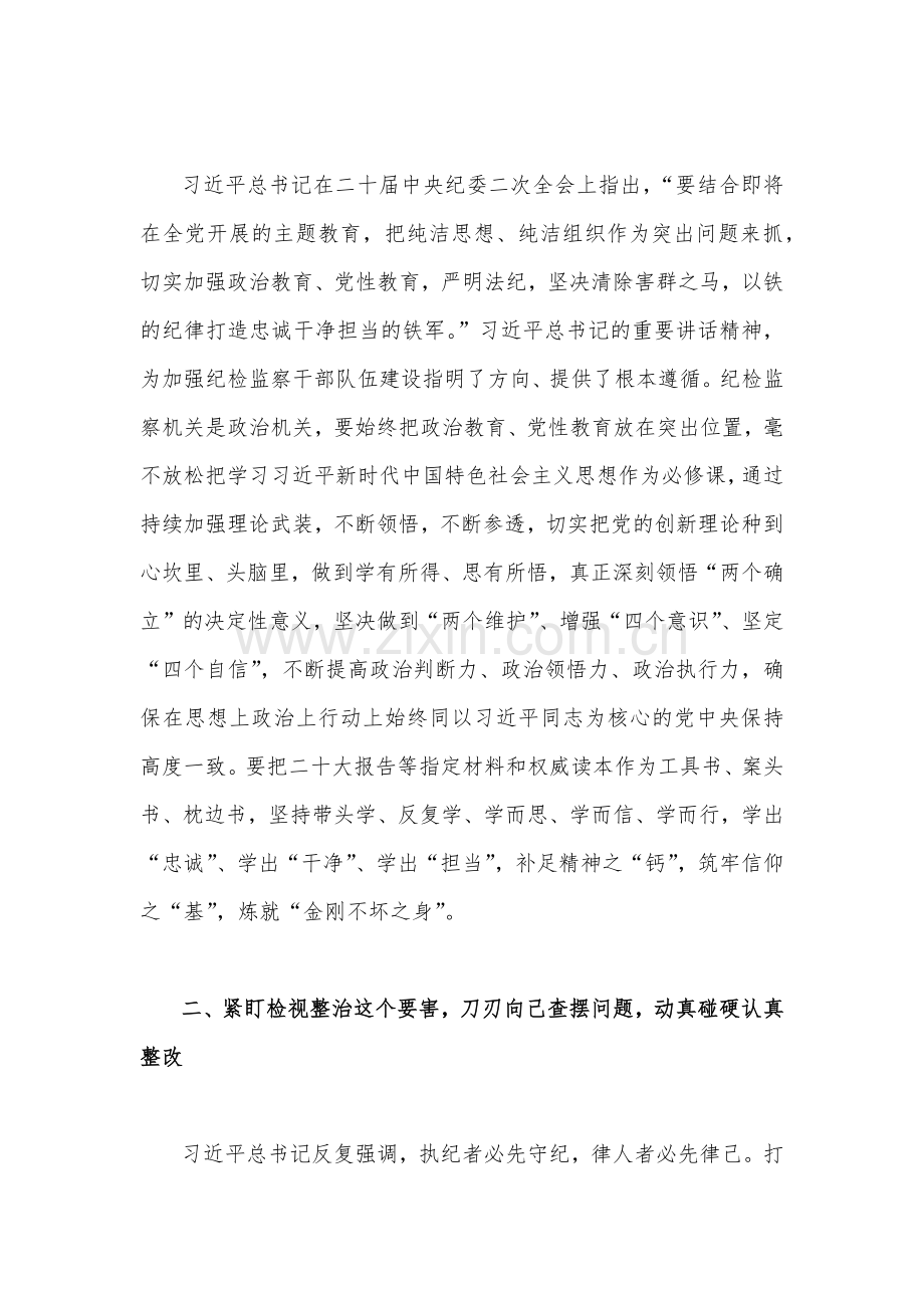 2023年纪检监察干部队伍教育整顿学习心得体会研讨发言材料2680字文稿.docx_第2页