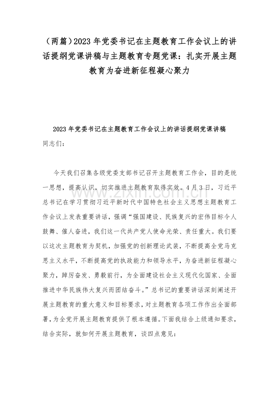 （两篇）2023年党委书记在主题教育工作会议上的讲话提纲党课讲稿与主题教育专题党课：扎实开展主题教育为奋进新征程凝心聚力.docx_第1页