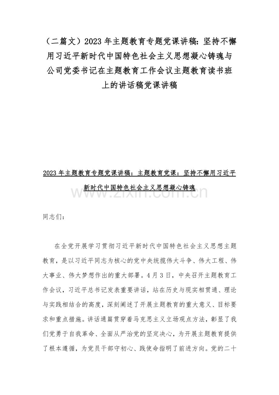 （二篇文）2023年主题教育专题党课讲稿：坚持不懈用习近平新时代中国特色社会主义思想凝心铸魂与公司党委书记在主题教育工作会议主题教育读书班上的讲话稿党课讲稿.docx_第1页