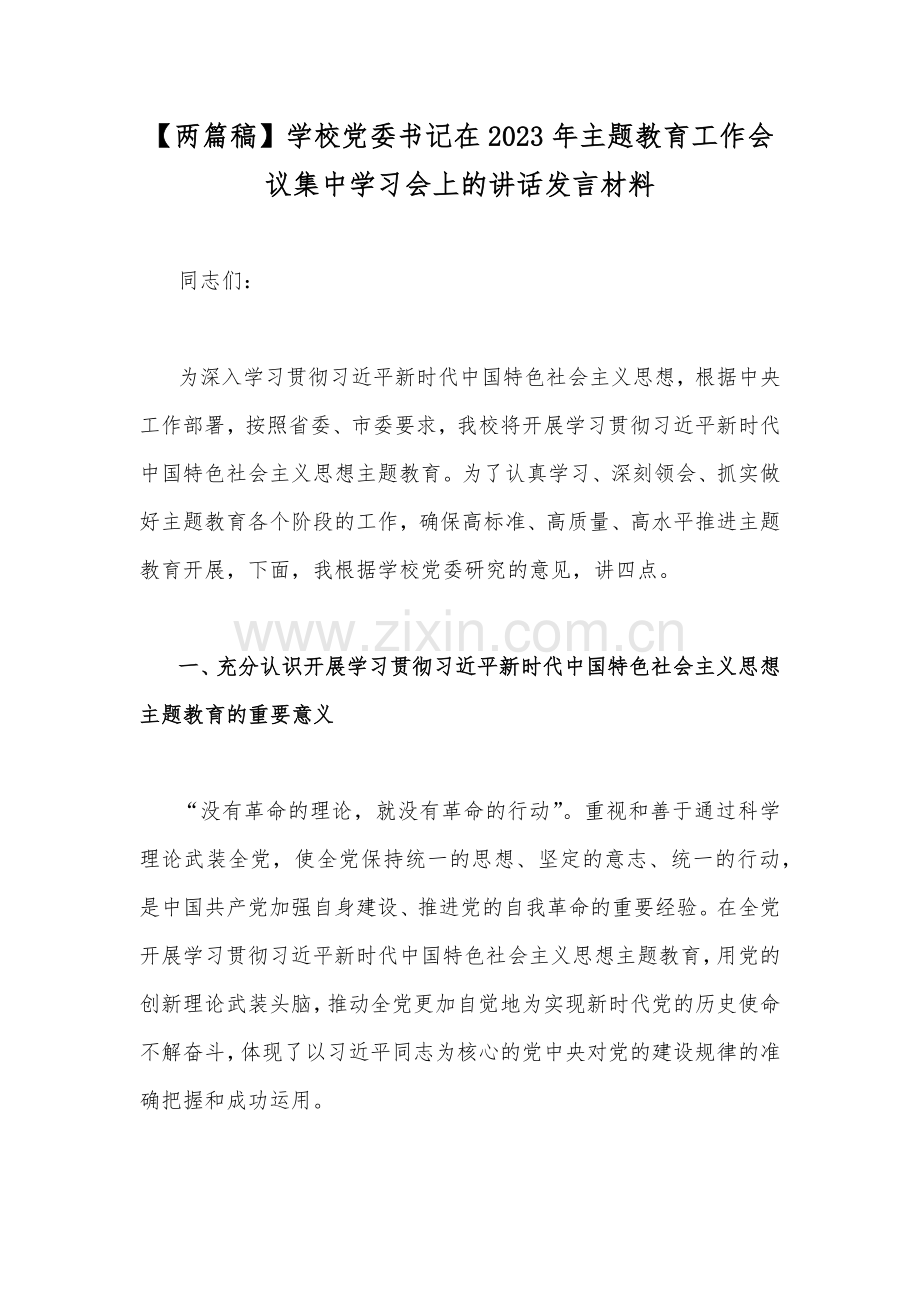 【两篇稿】学校党委书记在2023年主题教育工作会议集中学习会上的讲话发言材料.docx_第1页