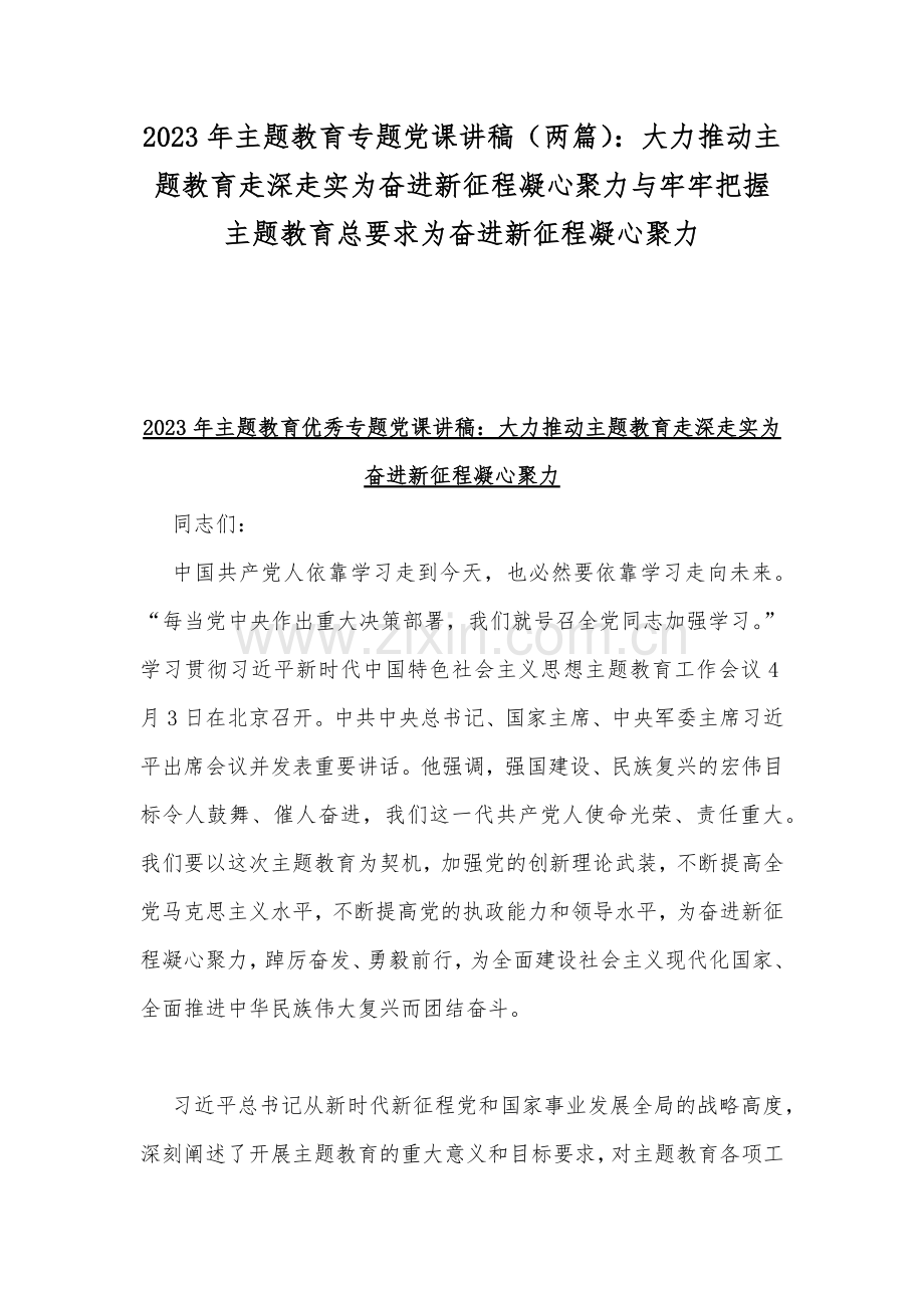 2023年主题教育专题党课讲稿（两篇）：大力推动主题教育走深走实为奋进新征程凝心聚力与牢牢把握主题教育总要求为奋进新征程凝心聚力.docx_第1页