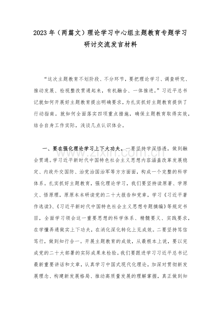 2023年（两篇文）理论学习中心组主题教育专题学习研讨交流发言材料.docx_第1页