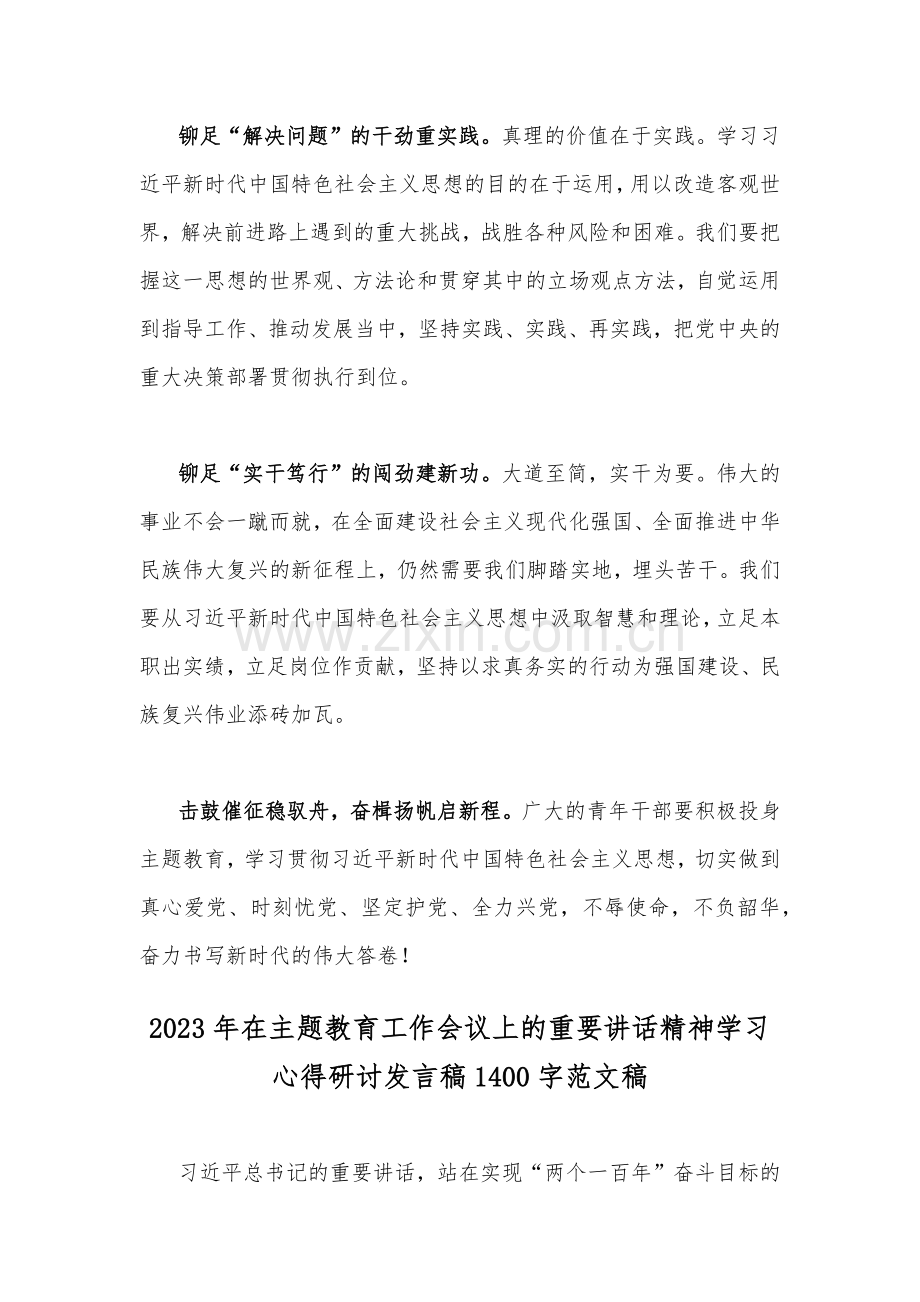 2篇：领导干部2023年在主题教育工作会议上的重要讲话精神学习心得研讨发言稿.docx_第2页