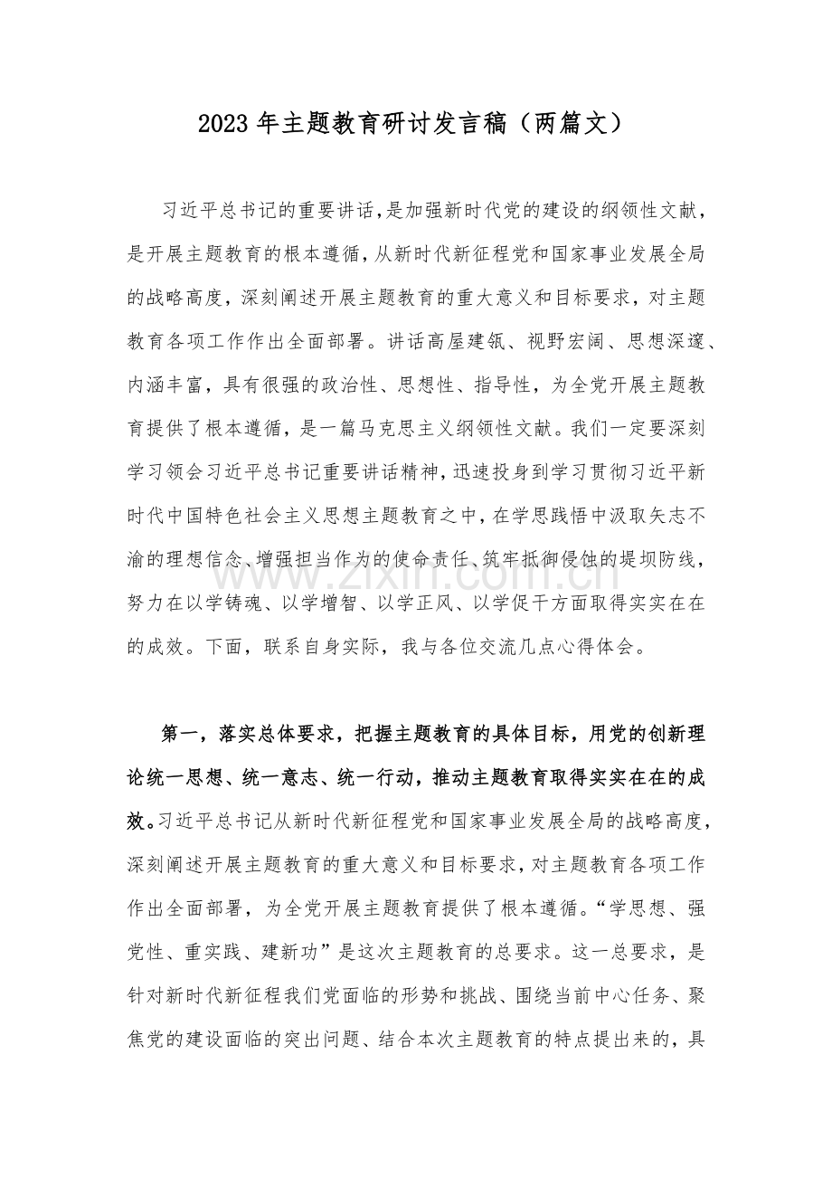 2023年主题教育研讨发言稿（两篇文）.docx_第1页