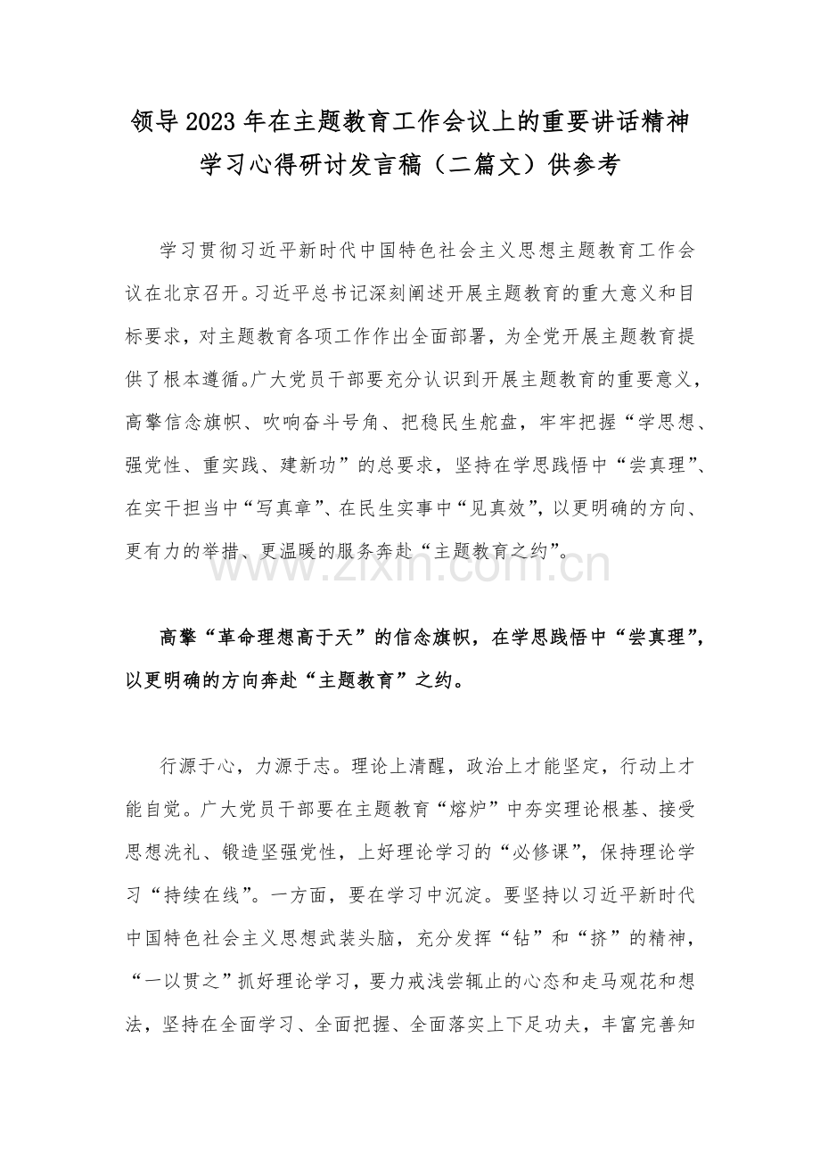 领导2023年在主题教育工作会议上的重要讲话精神学习心得研讨发言稿（二篇文）供参考.docx_第1页