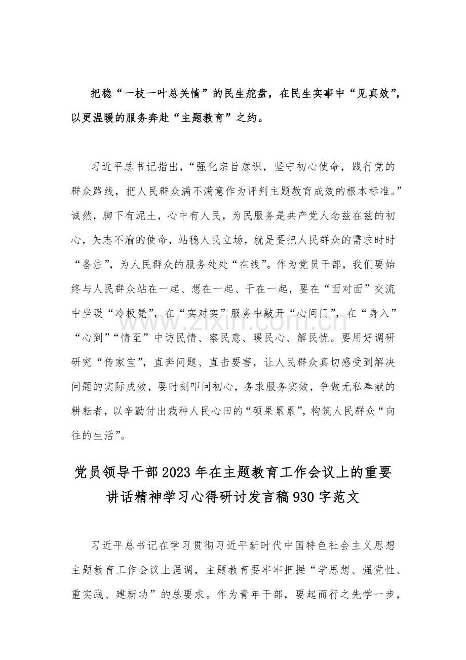 领导2023年在主题教育工作会议上的重要讲话精神学习心得研讨发言稿（二篇文）供参考.docx_第3页