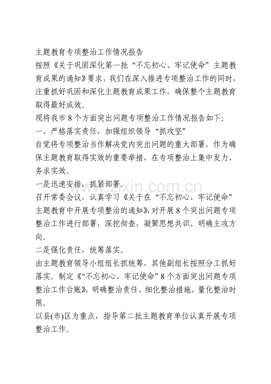 主题教育专项整治工作情况报告.doc_第1页