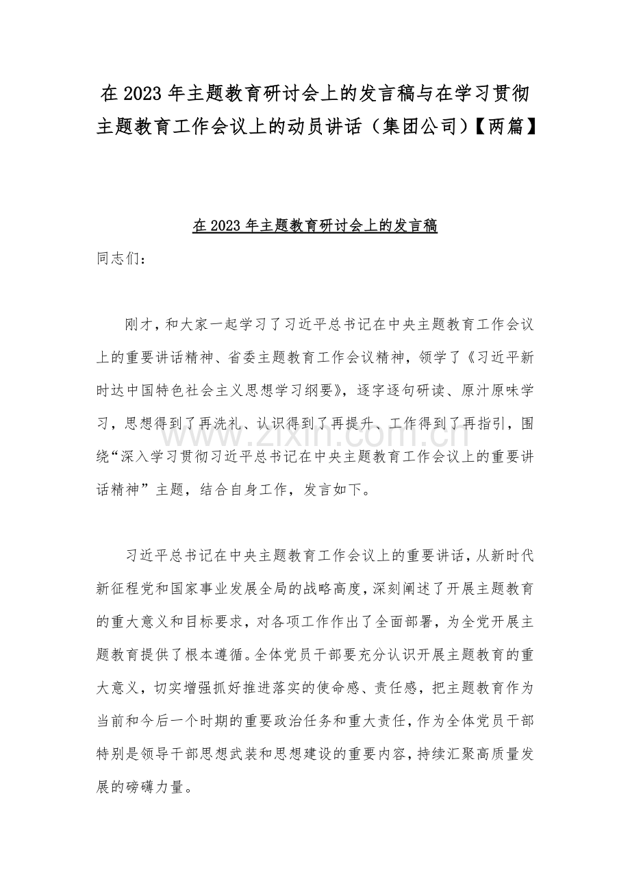 在2023年主题教育研讨会上的发言稿与在学习贯彻主题教育工作会议上的动员讲话（集团公司）【两篇】.docx_第1页