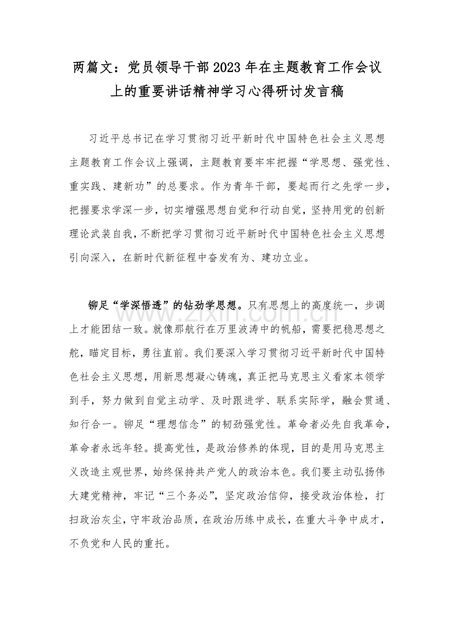 两篇文：党员领导干部2023年在主题教育工作会议上的重要讲话精神学习心得研讨发言稿.docx_第1页