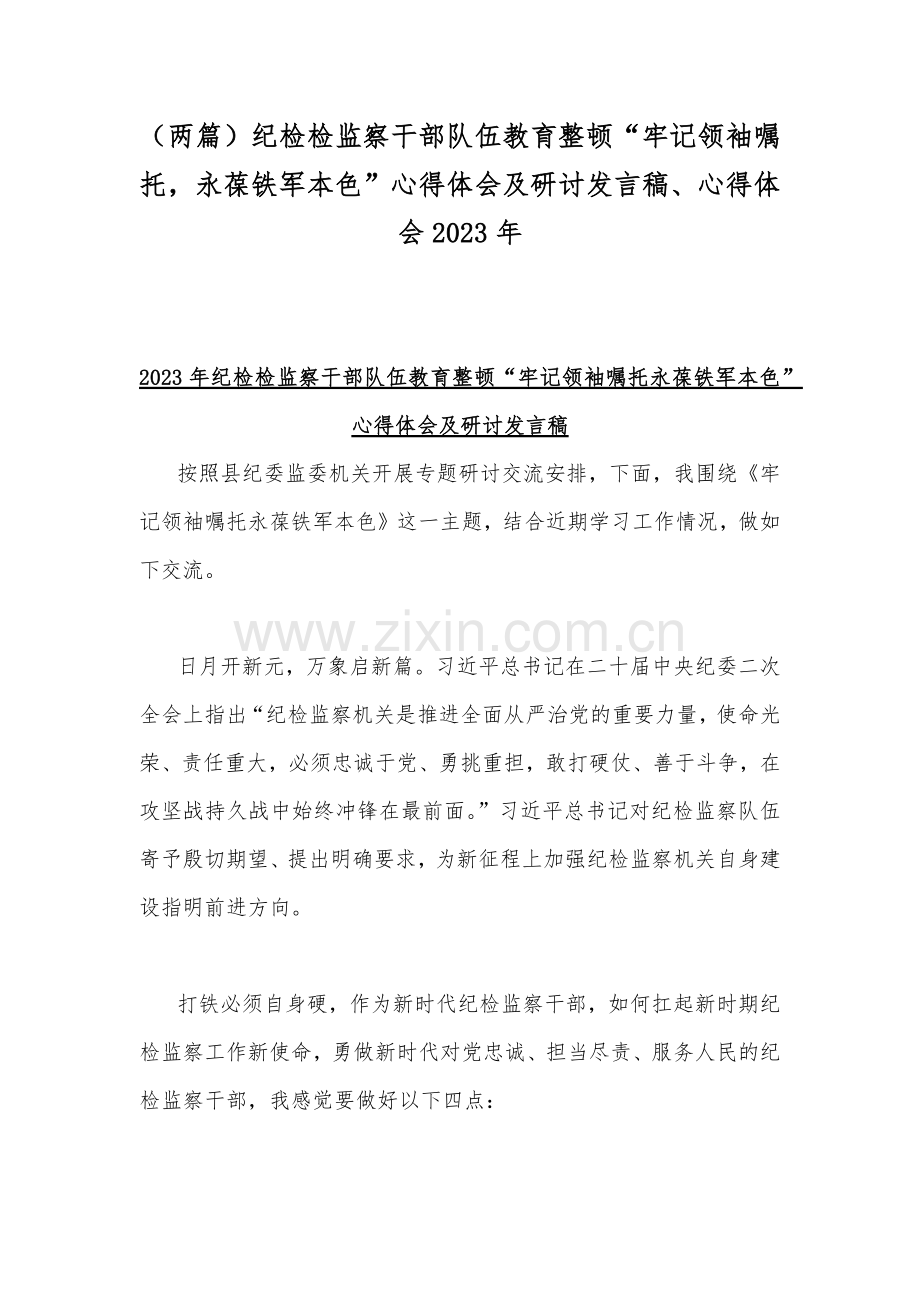 （两篇）纪检检监察干部队伍教育整顿“牢记领袖嘱托永葆铁军本色”心得体会及研讨发言稿、心得体会2023年.docx_第1页