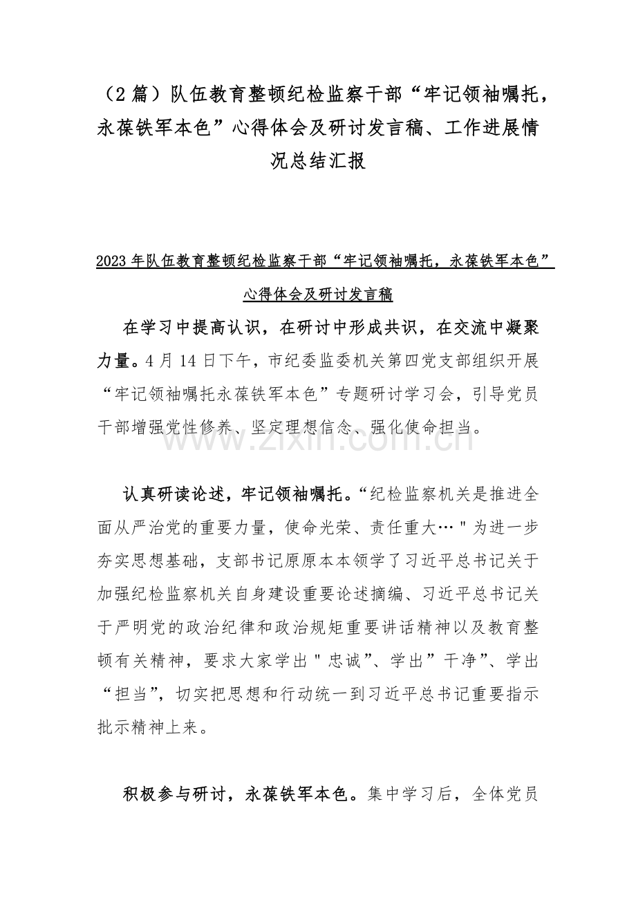 （2篇）队伍教育整顿纪检监察干部“牢记领袖嘱托永葆铁军本色”心得体会及研讨发言稿、工作进展情况总结汇报.docx_第1页