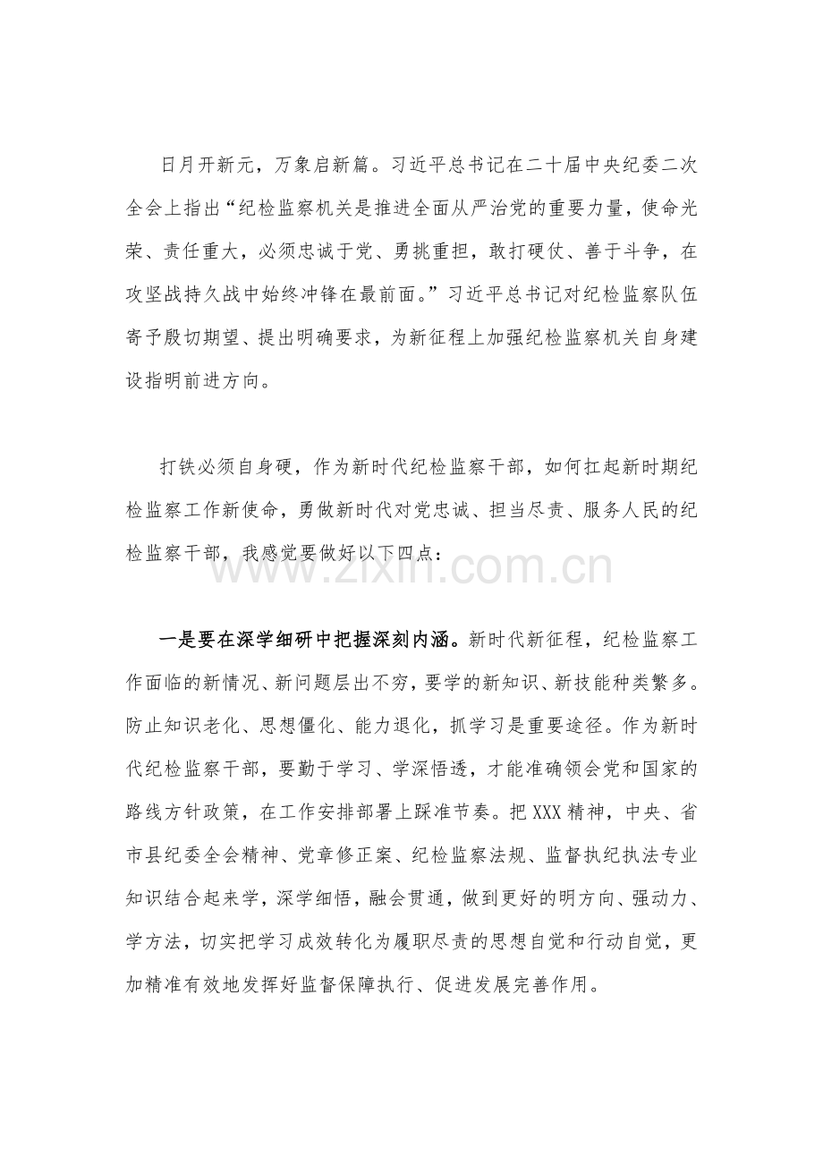 （合编三篇文）队伍教育整顿纪检监察干部“牢记领袖嘱托永葆铁军本色”心得体会及研讨发言稿2023年.docx_第3页