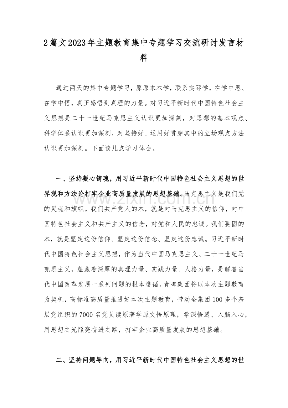 2篇文2023年主题教育集中专题学习交流研讨发言材料.docx_第1页