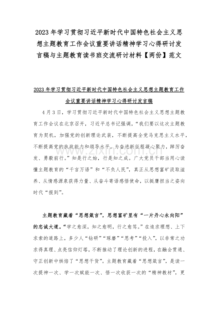 2023年学习贯彻习近平新时代中国特色社会主义思想主题教育工作会议重要讲话精神学习心得研讨发言稿与主题教育读书班交流研讨材料【两份】范文.docx_第1页