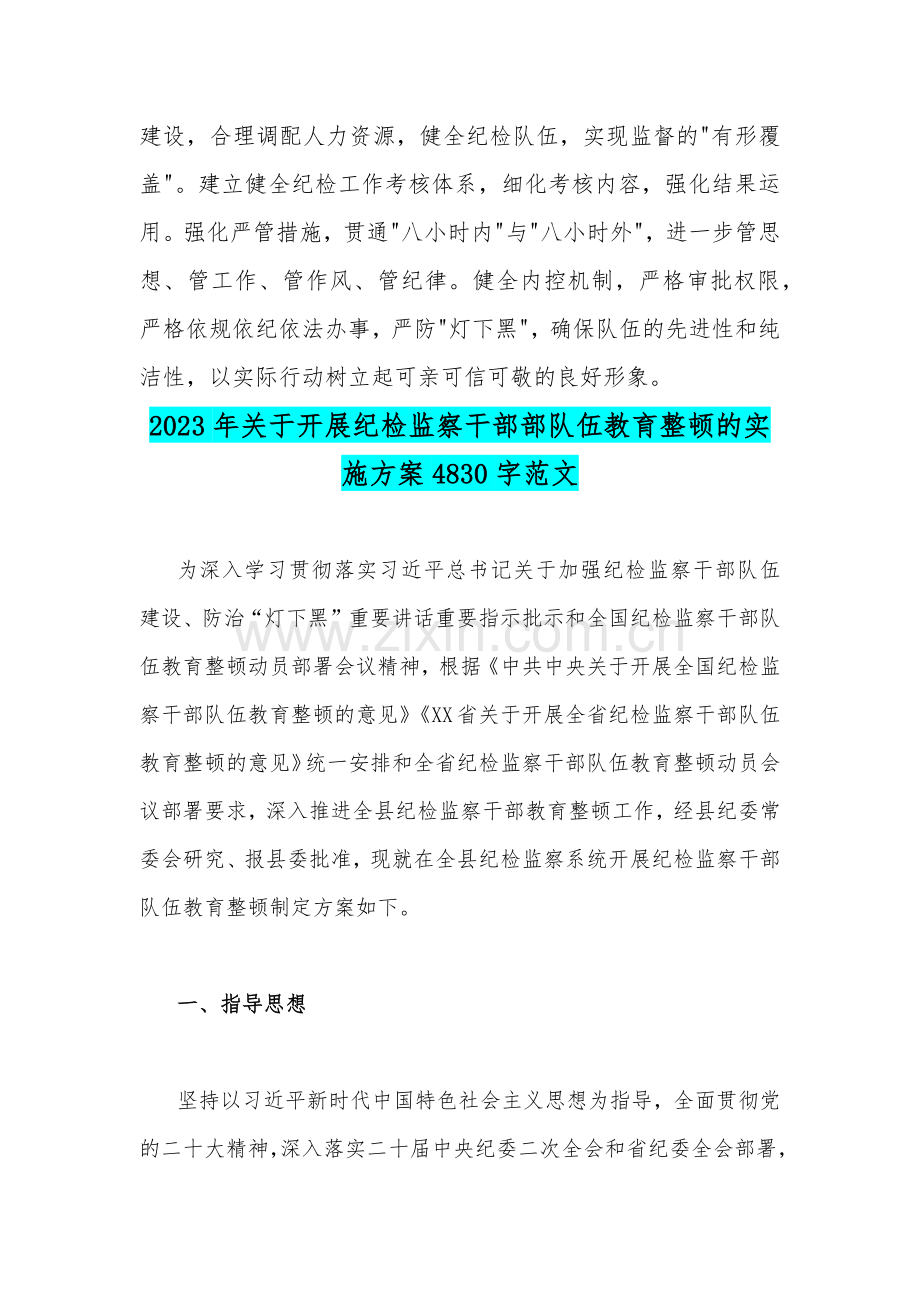 2023年队伍教育整顿纪检监察干部“牢记领袖嘱托永葆铁军本色”心得体会及研讨发言稿、实施方案（两篇）供参考.docx_第3页