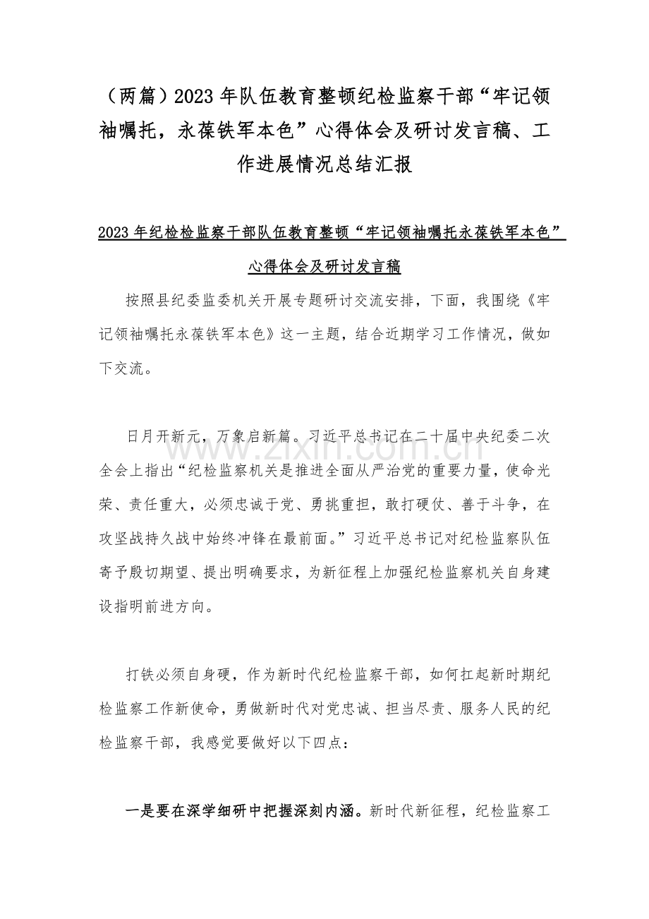 （两篇）2023年队伍教育整顿纪检监察干部“牢记领袖嘱托永葆铁军本色”心得体会及研讨发言稿、工作进展情况总结汇报.docx_第1页