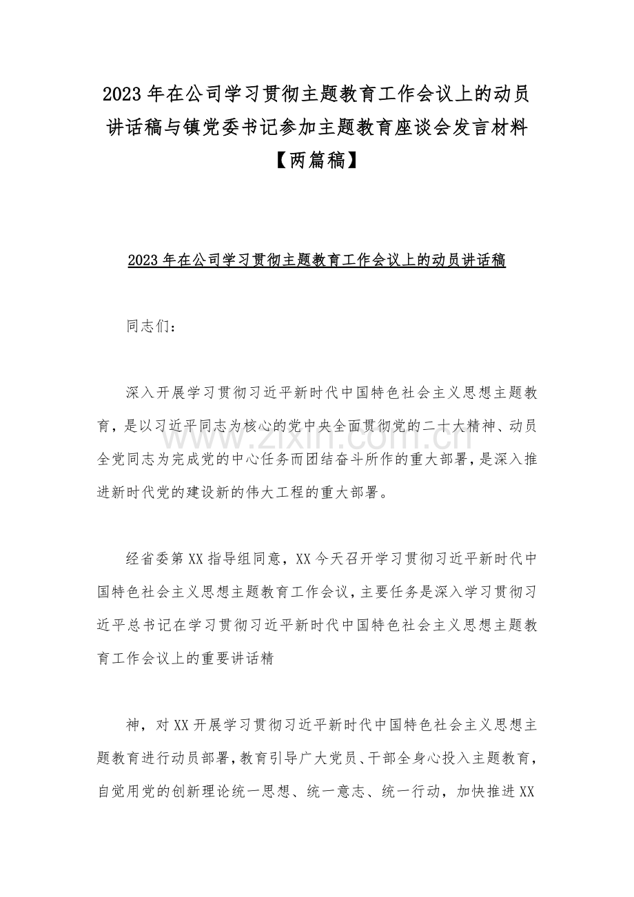 2023年在公司学习贯彻主题教育工作会议上的动员讲话稿与镇党委书记参加主题教育座谈会发言材料【两篇稿】.docx_第1页