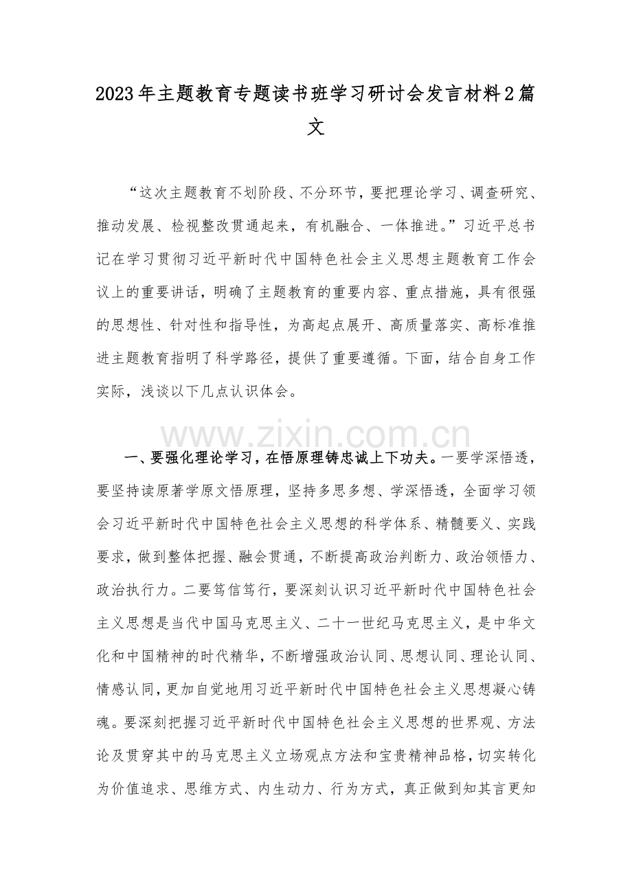 2023年主题教育专题读书班学习研讨会发言材料2篇文.docx_第1页