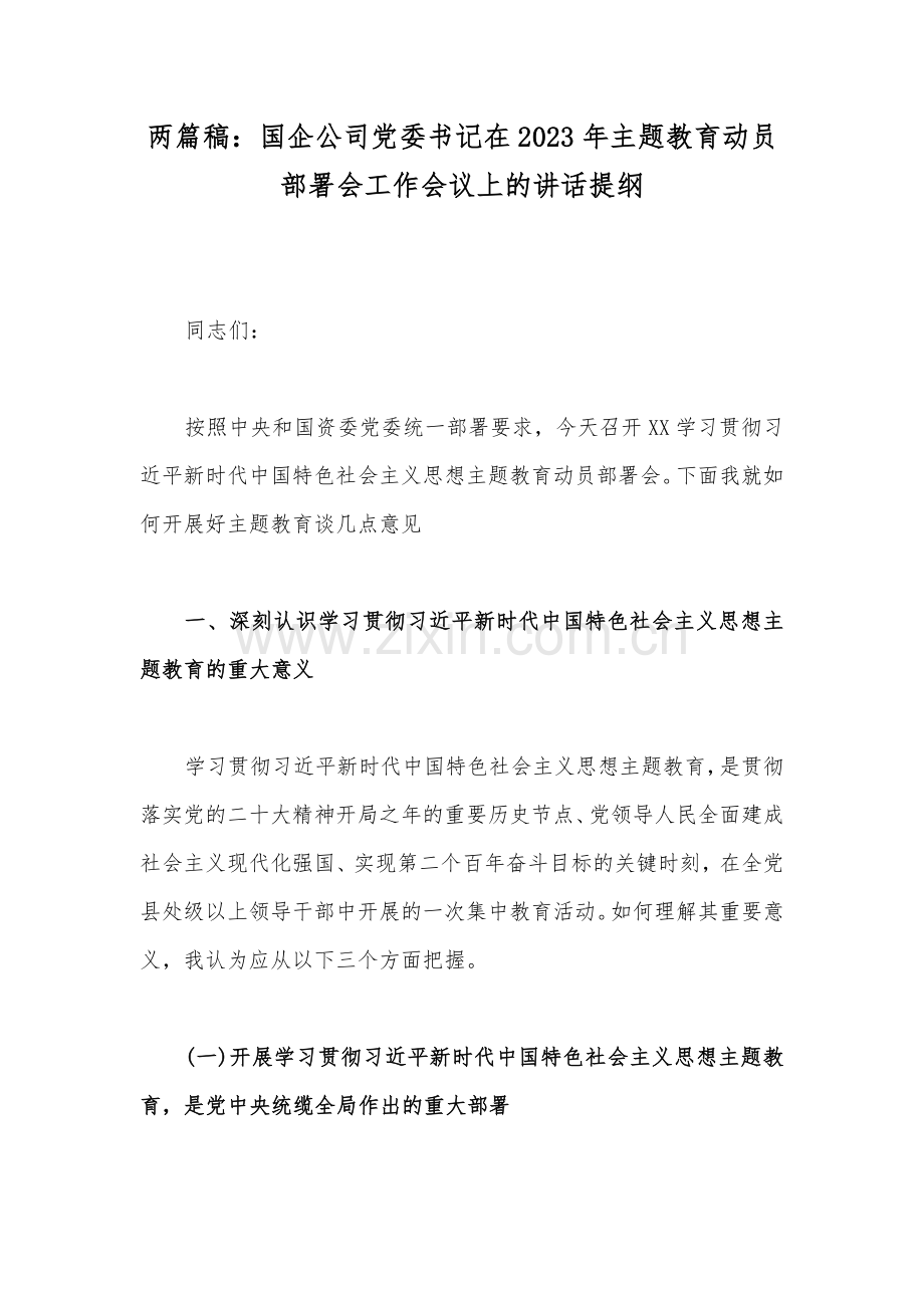 两篇稿：国企公司党委书记在2023年主题教育动员部署会工作会议上的讲话提纲.docx_第1页