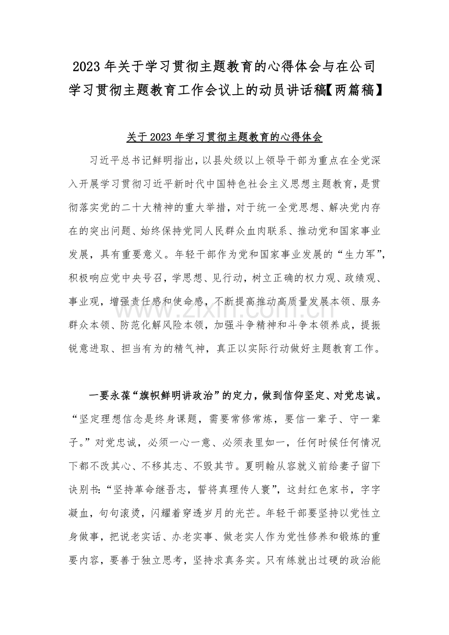 2023年关于学习贯彻主题教育的心得体会与在公司学习贯彻主题教育工作会议上的动员讲话稿【两篇稿】.docx_第1页