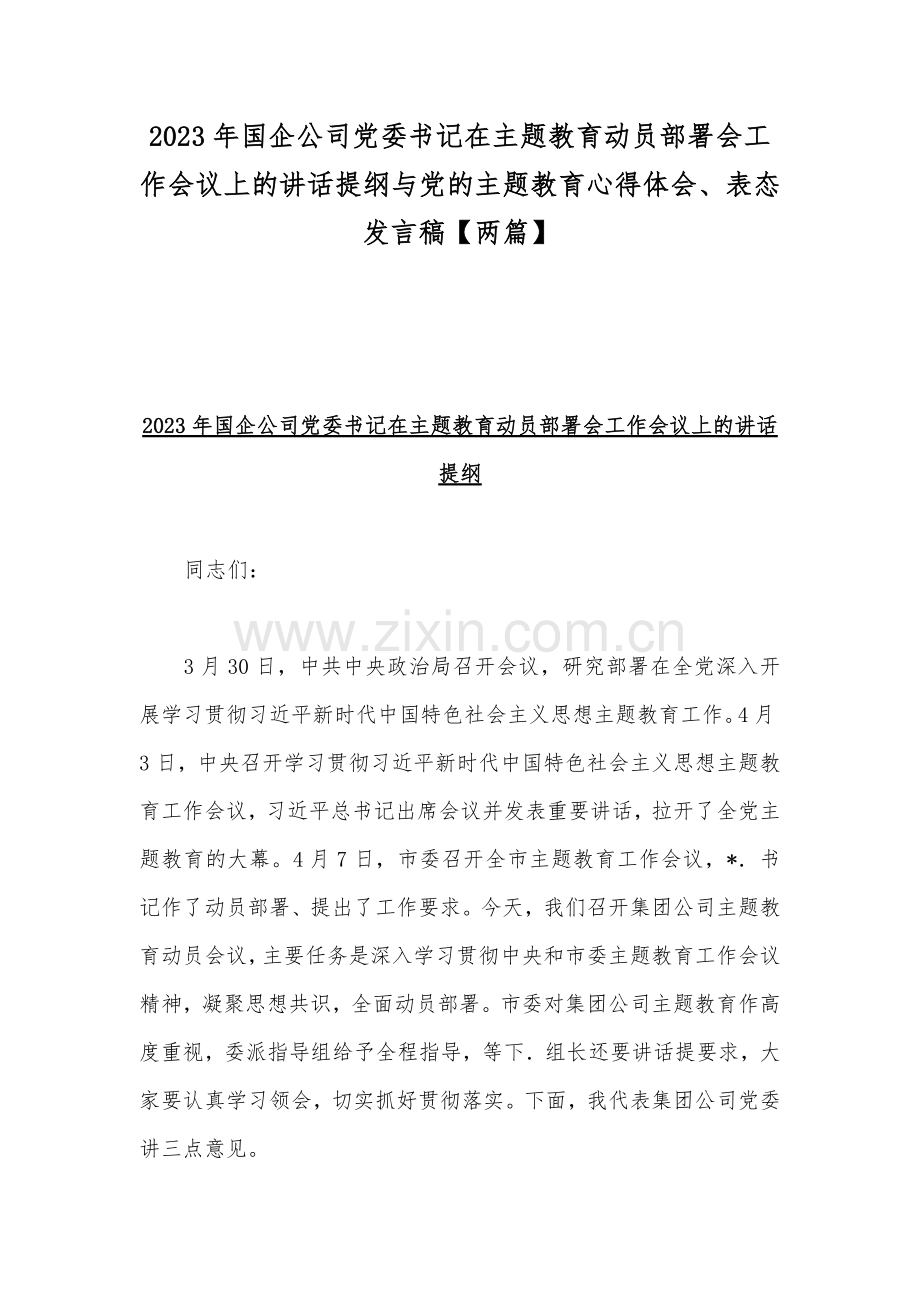 2023年国企公司党委书记在主题教育动员部署会工作会议上的讲话提纲与党的主题教育心得体会、表态发言稿【两篇】.docx_第1页